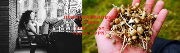 соль курить ск Белокуриха