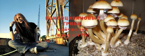 тгк Беломорск